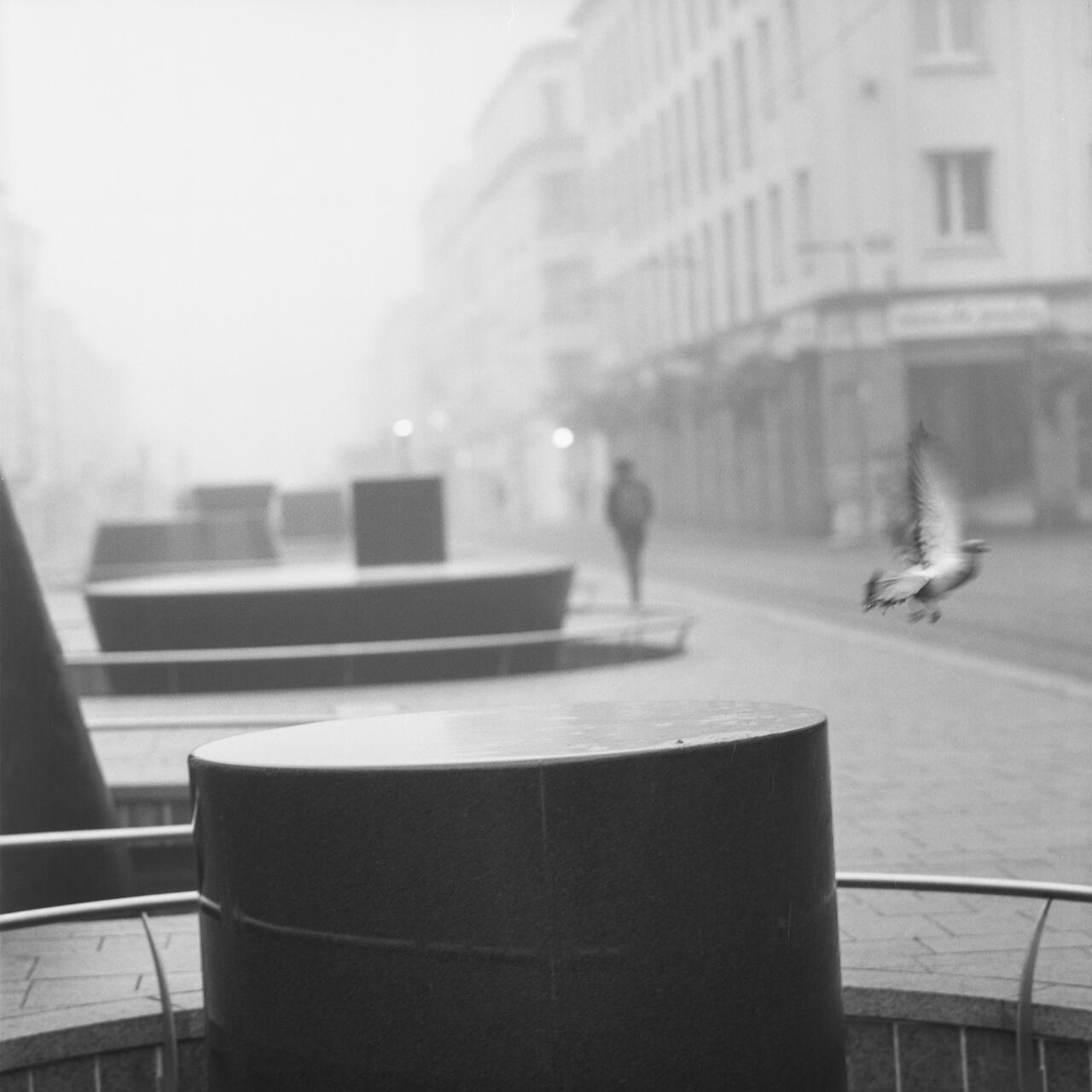 Rue de Siam un matin brumeux. Un pigeon prends son envole et un homme marche au loin.