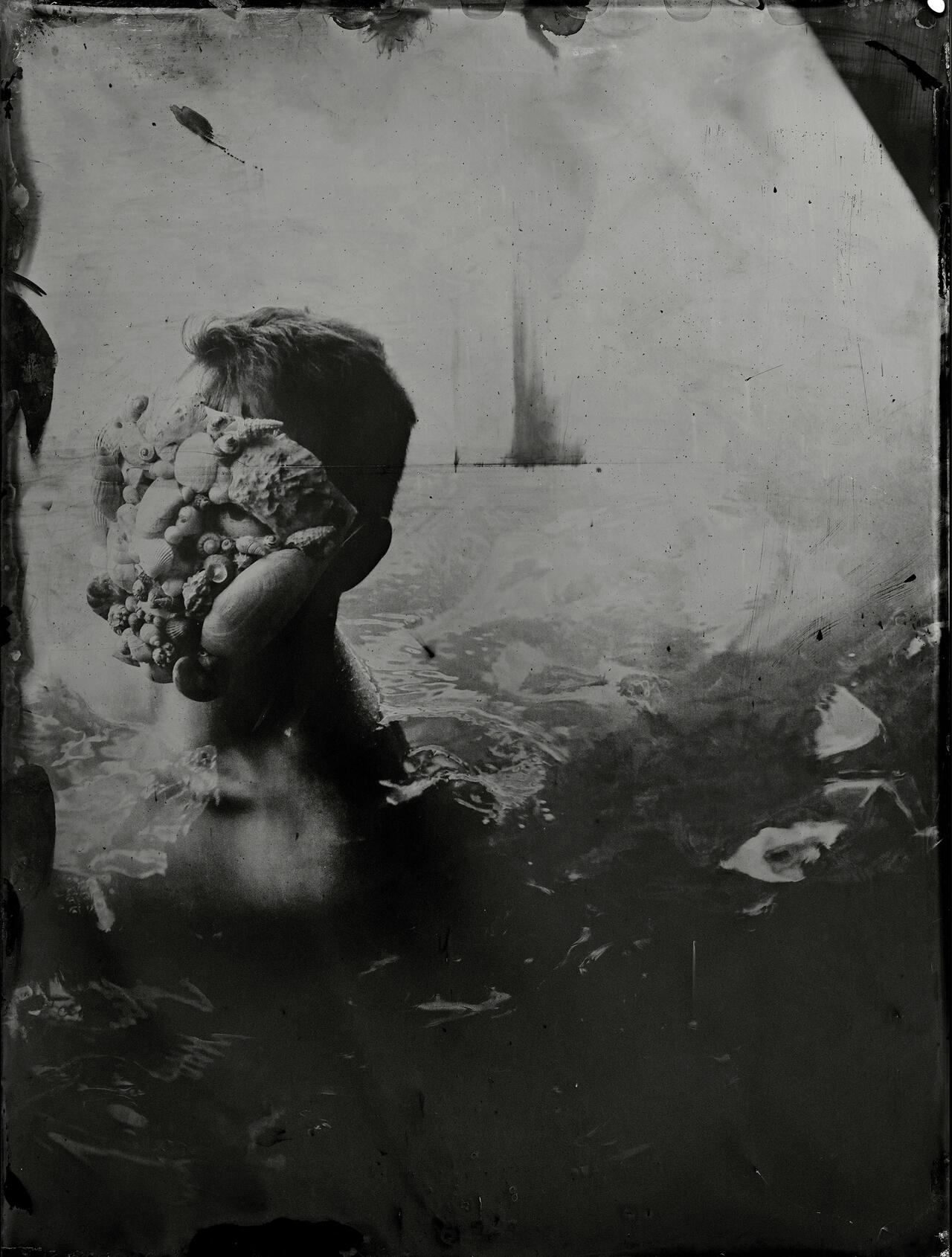 Laura_Aubree_Regnum_Naturae-7