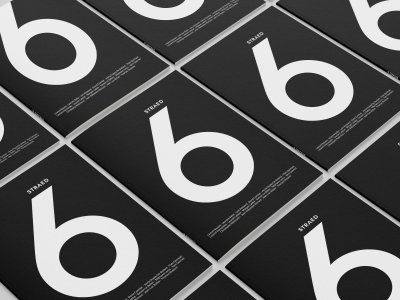 Plusierus exemplaires du fanzine Straed 6